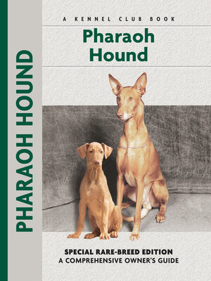 cover image of Pharaoh Hound
